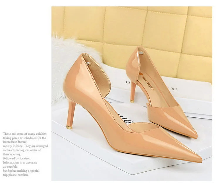High Heels Shallow Mouth PU Leather Women's Shoes Pointed Toe Nude Single Shoes Women Stiletto Professional Work Dress Shoes