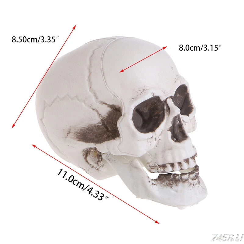 Plastic Human Mini Skull Decor Prop Skeleton Head Plastic Halloween Day Coffee Bars Ornament G22 Drop Ship