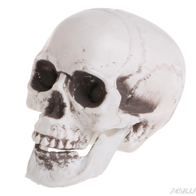 Plastic Human Mini Skull Decor Prop Skeleton Head Plastic Halloween Day Coffee Bars Ornament G22 Drop Ship