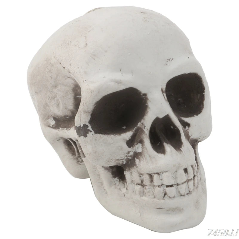 Plastic Human Mini Skull Decor Prop Skeleton Head Plastic Halloween Day Coffee Bars Ornament G22 Drop Ship