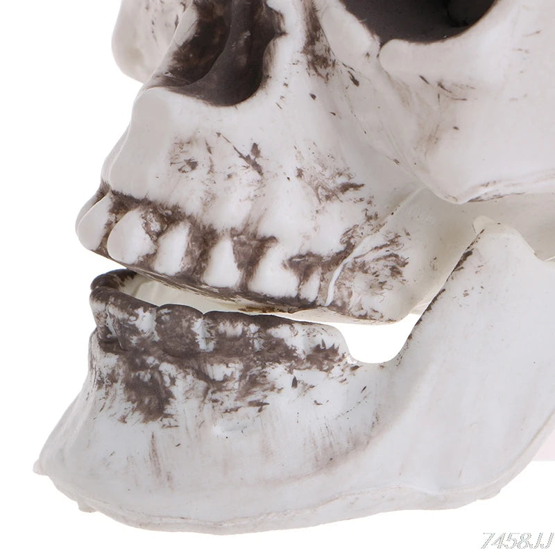 Plastic Human Mini Skull Decor Prop Skeleton Head Plastic Halloween Day Coffee Bars Ornament G22 Drop Ship
