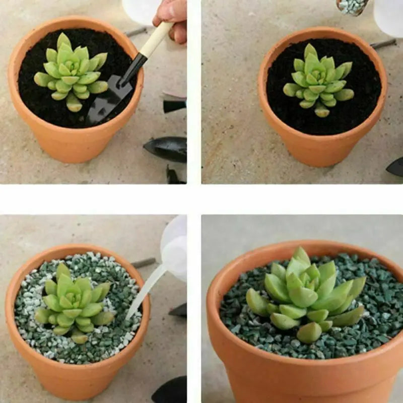 10Pcs Red Pottery Flower Pot Clay Pottery Planter Cactus Flower Pots Succulent Pot With Drainage Hole Great For Plants