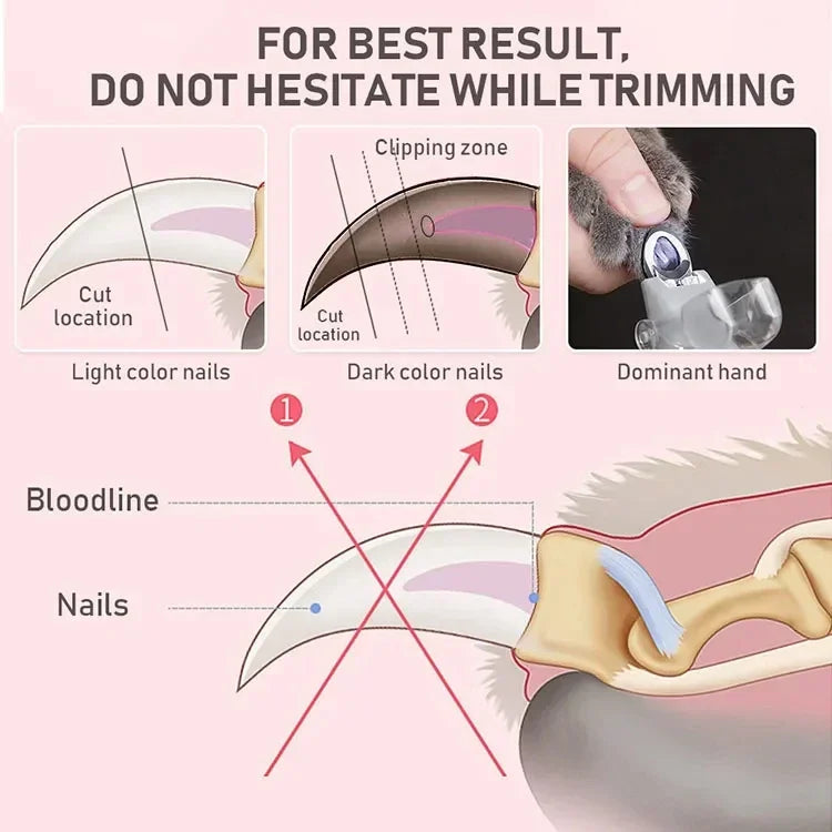 LED Pet Nail Scissors for Dogs & Cats – Professional Toenail Clipper Tool, Sharp Cutter