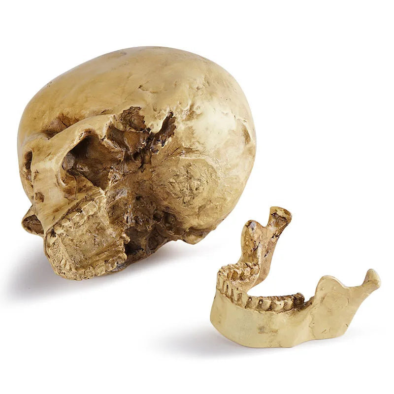 1:1 Simulated Resin Skull Decor - Gothic Halloween Centerpiece--Must-Have for Horror Enthusiasts and Halloween Party Planner