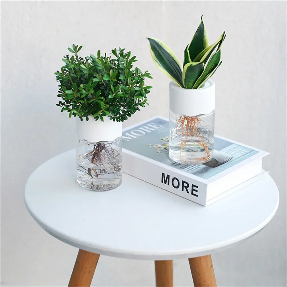 Mini Hydroponic Flower Pot Transparent Soilless Plant Vase for Home Decoration, Imitation Glass Green Plants Pot