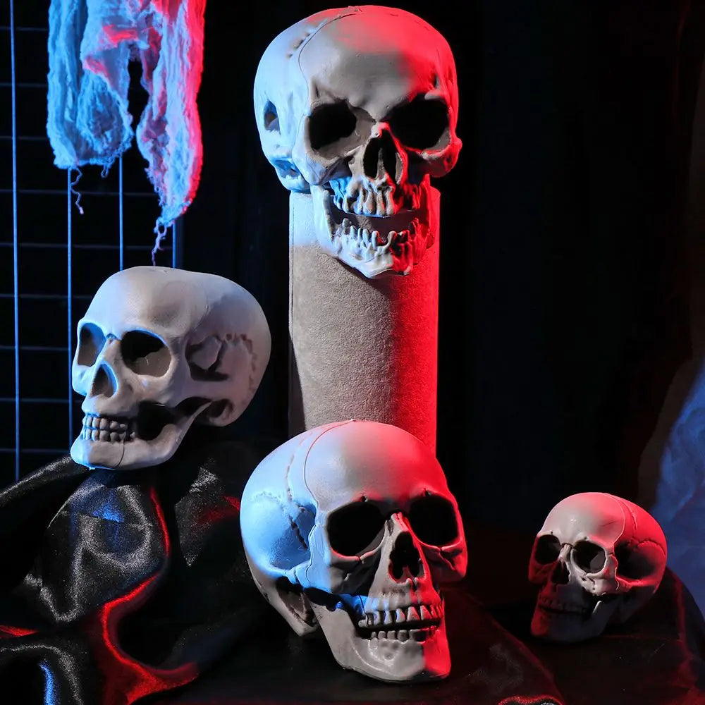 All Size Terrible Human Skeleton Skull Head Halloween Props Skeleton for Bars/Coffee Bars/Haunted Houses/Halloween Party Decor