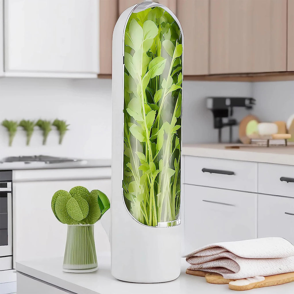 Herb Saver Storage Container Fresh Herb Keeper Vanilla Vegetables Fresh Preservation Bottle for Refrigerator Kitchen Gadgets
