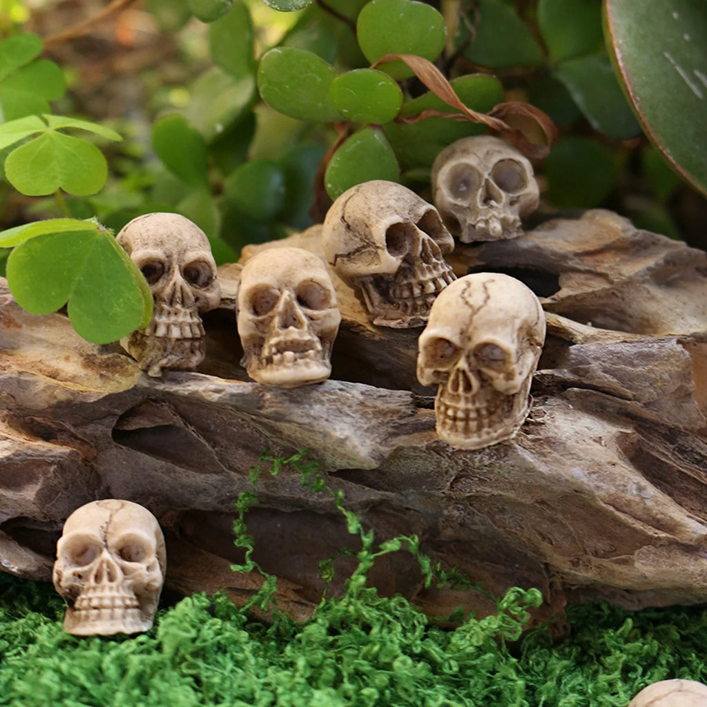 10/20Pcs Gothic Skull Halloween Decor Mini Skulls Creative Flowerpot Decoration Realistic Miniature Skeleton Skulls Crafts Decor