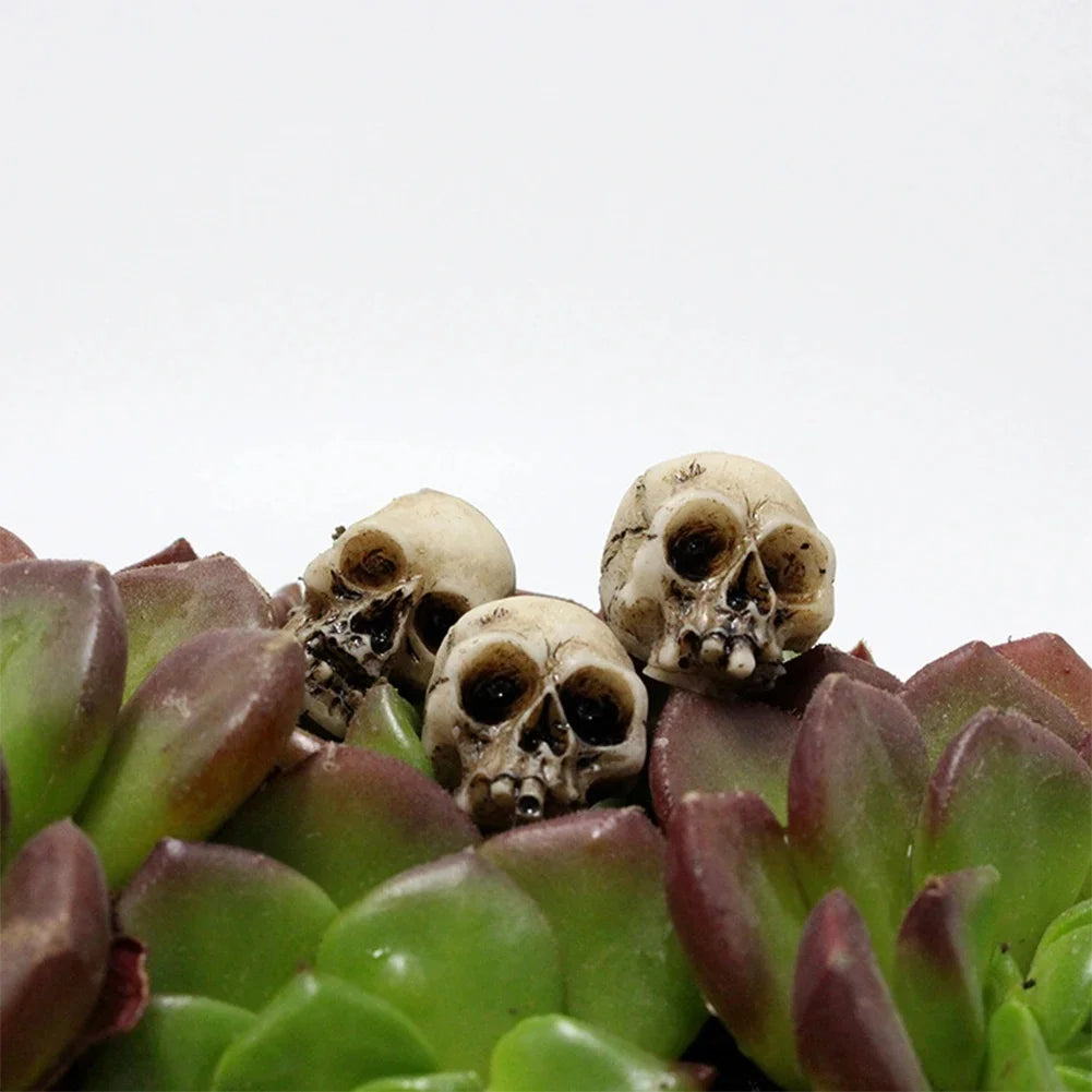 10/20Pcs Gothic Skull Halloween Decor Mini Skulls Creative Flowerpot Decoration Realistic Miniature Skeleton Skulls Crafts Decor
