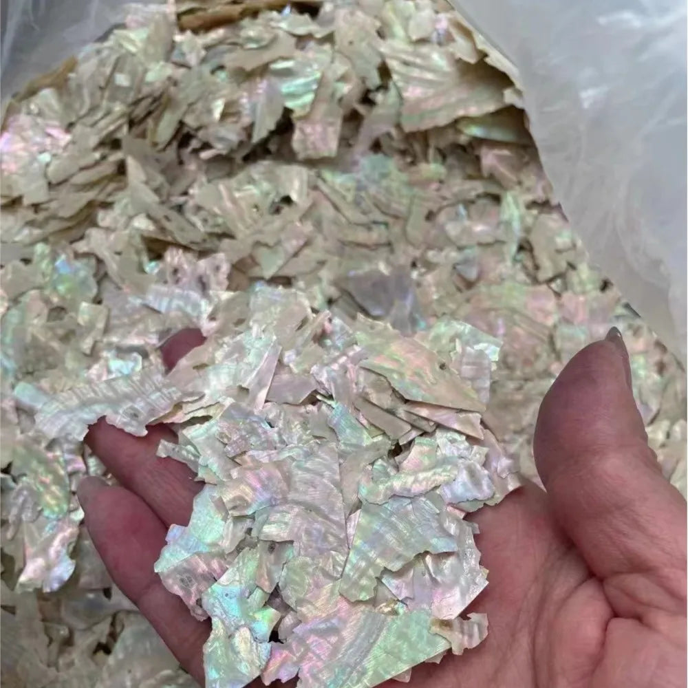 1 Bag Natural Abalone Seashell Nail Charms Gradient Ultra-thin Irregular Abalone Slices Nail Art Shell Design Fragment Flake #5g