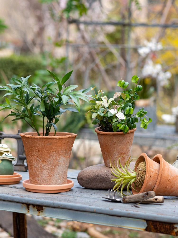 Red Clay Py Plant Pots Ancient Sle Garden Art Handmade Clay Pots Breathable Durable for Succulent Plants Home Decor