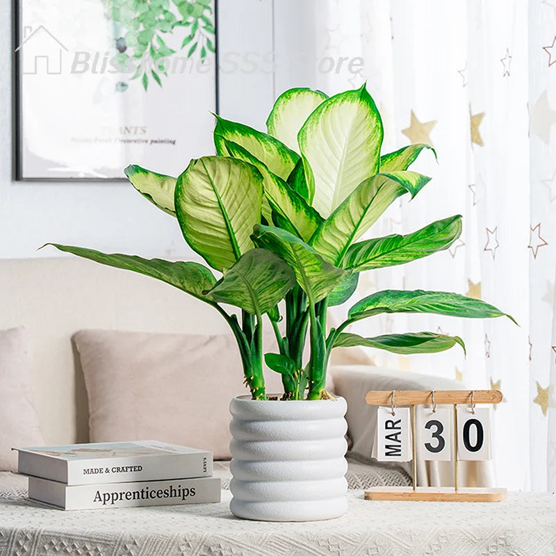 【S】Planters Indoor Plants Pots Indoor Office For Flower Multipurpose Planters For And Vegetable For Plants Pot High