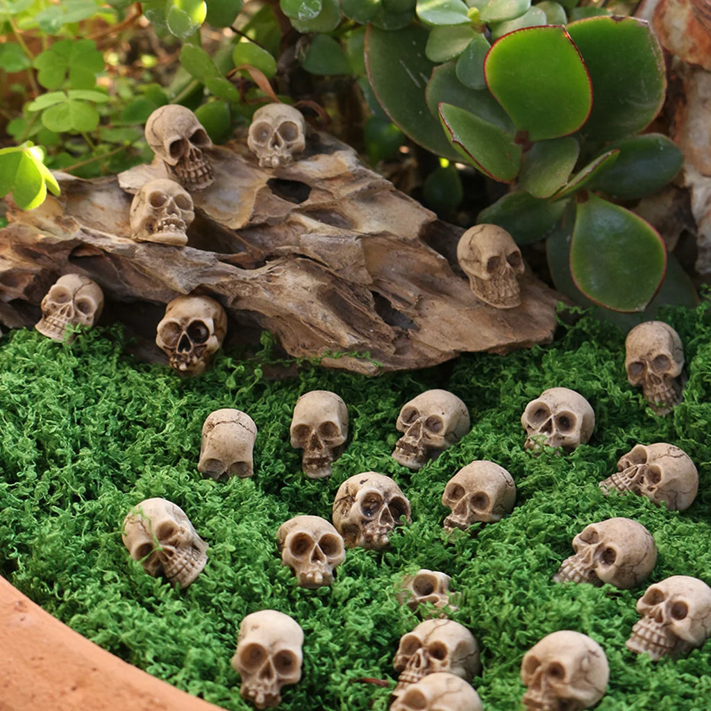 10/20Pcs Gothic Skull Halloween Decor Mini Skulls Creative Flowerpot Decoration Realistic Miniature Skeleton Skulls Crafts Decor