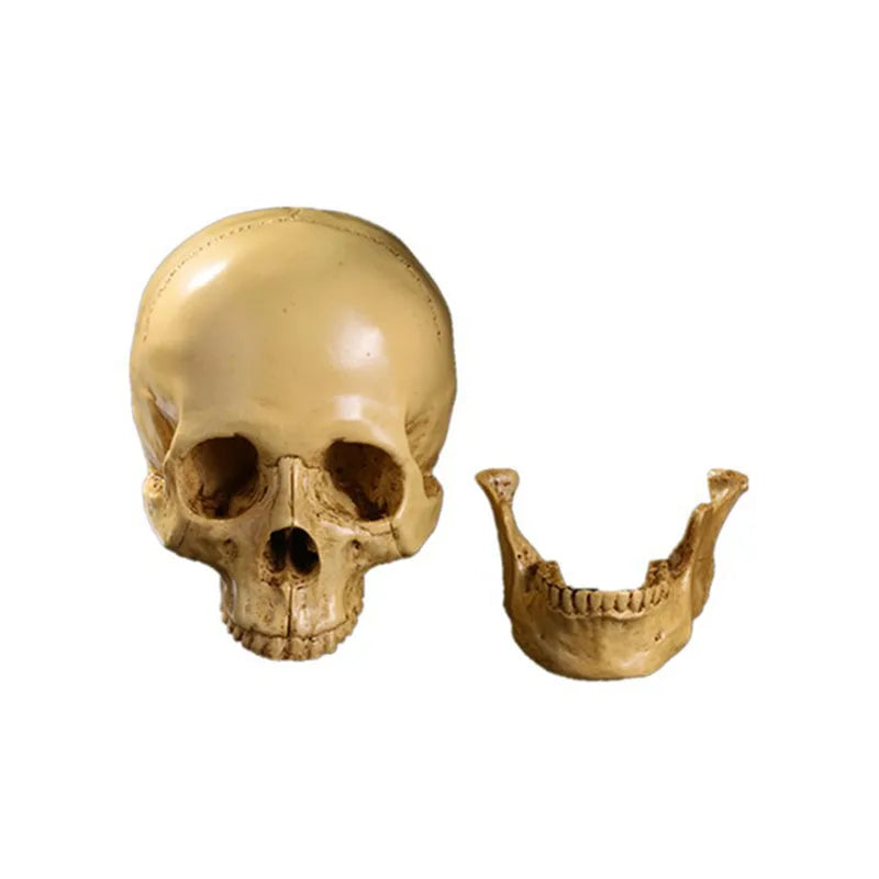 1:1 Simulated Resin Skull Decor - Gothic Halloween Centerpiece--Must-Have for Horror Enthusiasts and Halloween Party Planner