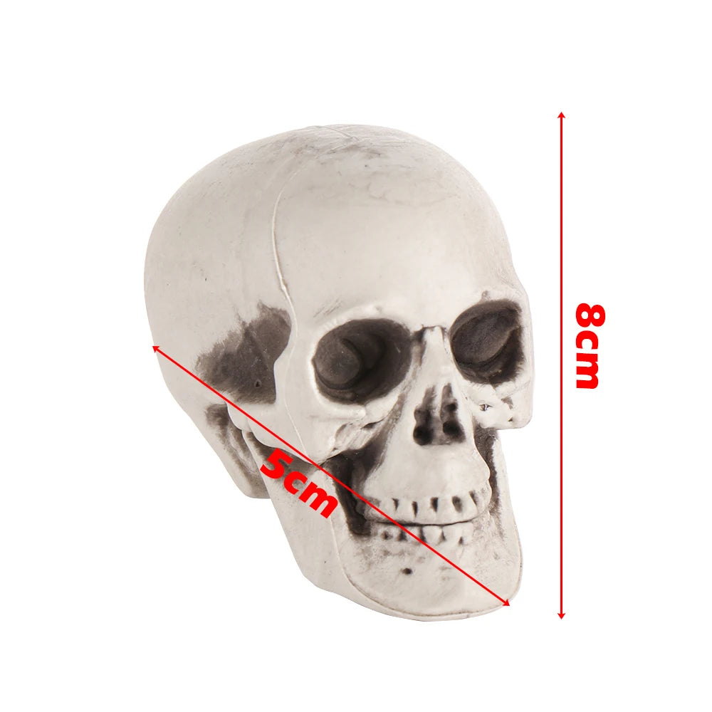 All Size Terrible Human Skeleton Skull Head Halloween Props Skeleton for Bars/Coffee Bars/Haunted Houses/Halloween Party Decor
