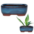 Ceramic Succulent Flower Pot Elegant Promote Healthy Growth Planter for Windowsills Shelves Gardens and Patios IMNT