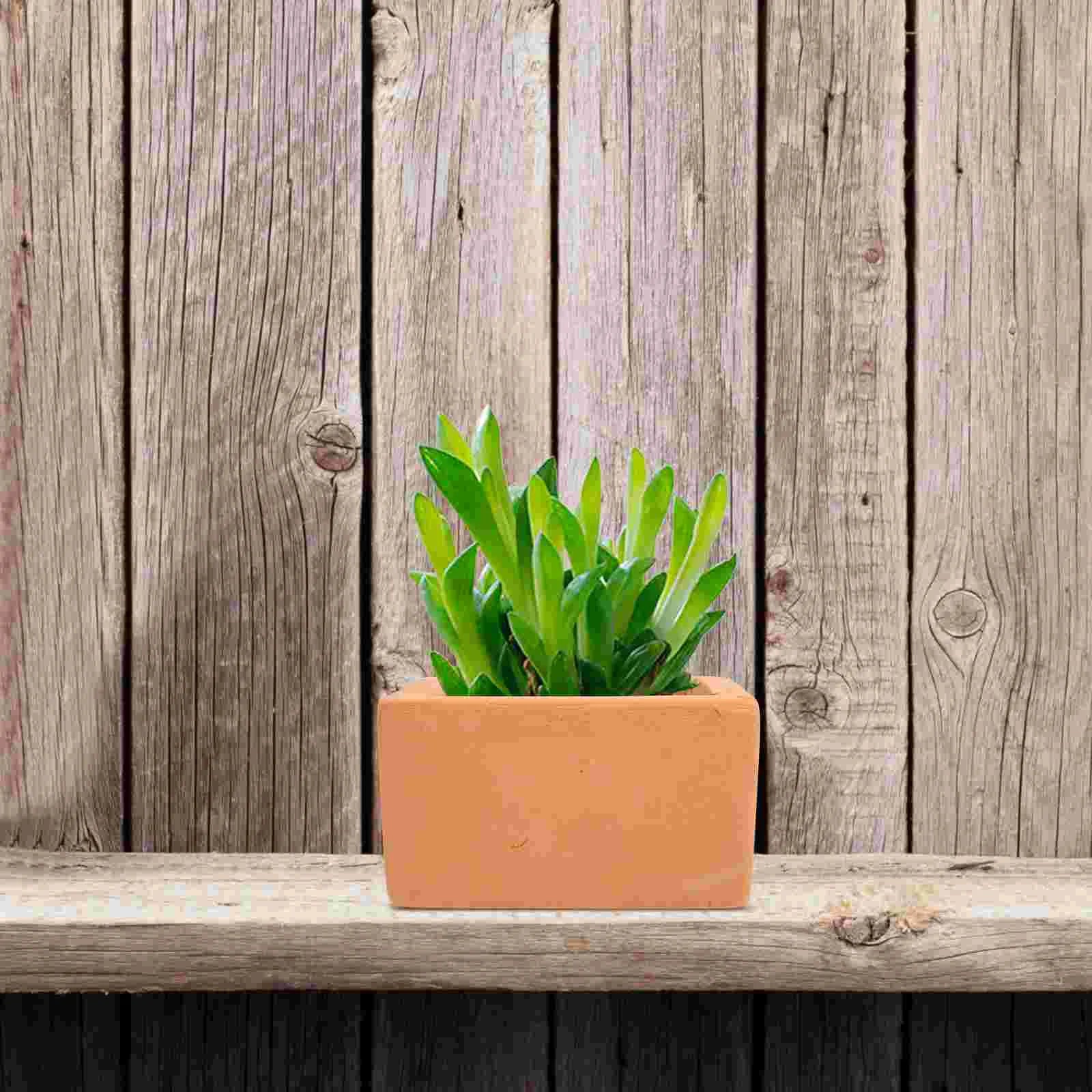 3 Pcs Terracotta Flowerpots Sturdy Red Pottery Succulent Plant Pot Small Containers Ceramic Bowls Home Office Planter