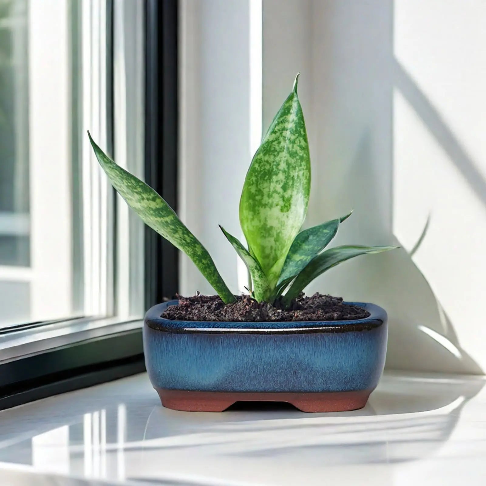 Ceramic Succulent Flower Pot Elegant Promote Healthy Growth Planter for Windowsills Shelves Gardens and Patios IMNT