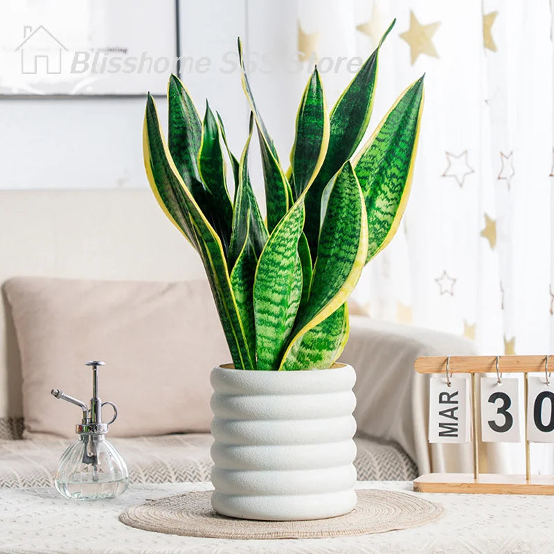 【S】Planters Indoor Plants Pots Indoor Office For Flower Multipurpose Planters For And Vegetable For Plants Pot High