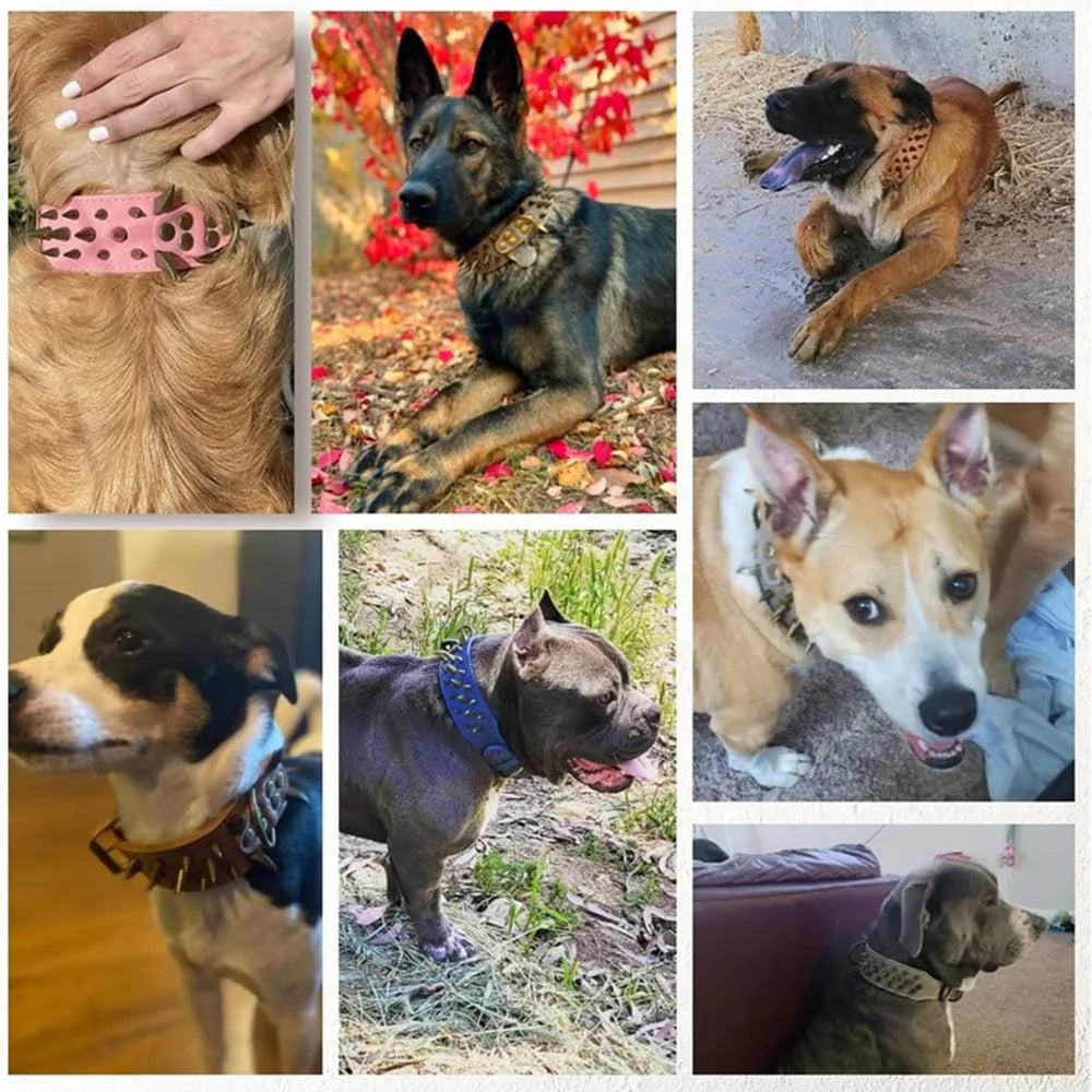 The Mighty Large Spiked Studded Dog Collar Protect Dog's Neck from Bites Durable & Stylish Dog Spike Collar for Mastiff Pitbull