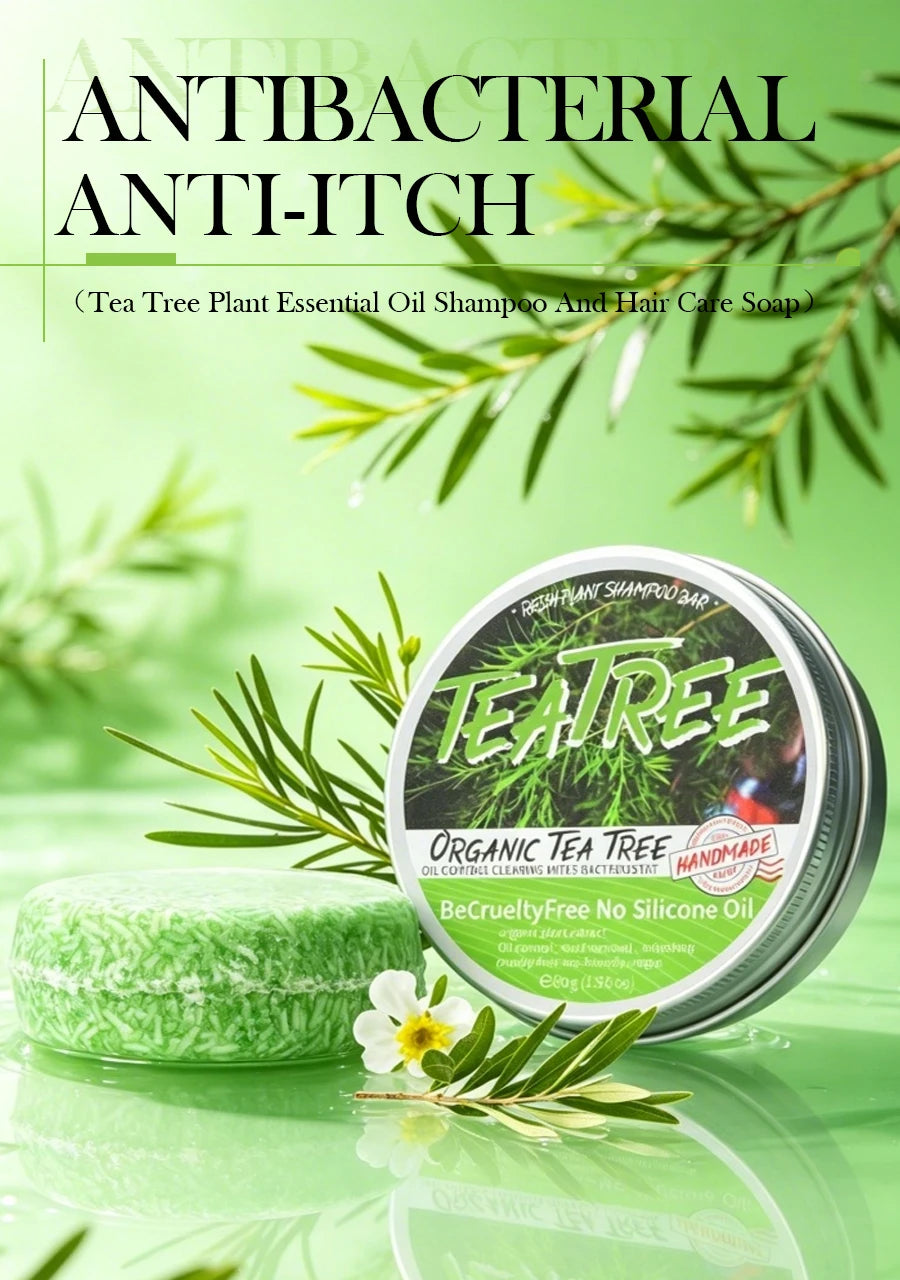 Tea tree essential oil plant shampoo is refreshing, oil controlling, dandruff reducing, and strong for hair. Handmade shampoo wi