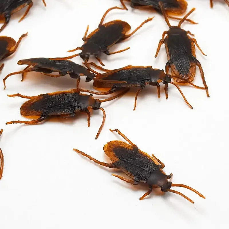 Realistic Cockroach Model Novelty Cockroach Prop Cockroach Toy Pranking Toy April Fools' Day Halloween Party Decorations
