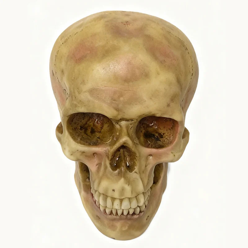 1:1 Simulated Resin Skull Decor - Gothic Halloween Centerpiece--Must-Have for Horror Enthusiasts and Halloween Party Planner