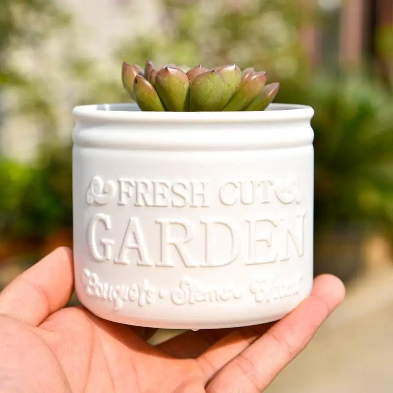Flower Pot Round Planters Succulents Plant Pot Office Desktop Balcony Home Garden Decoration Outdoor Potted
