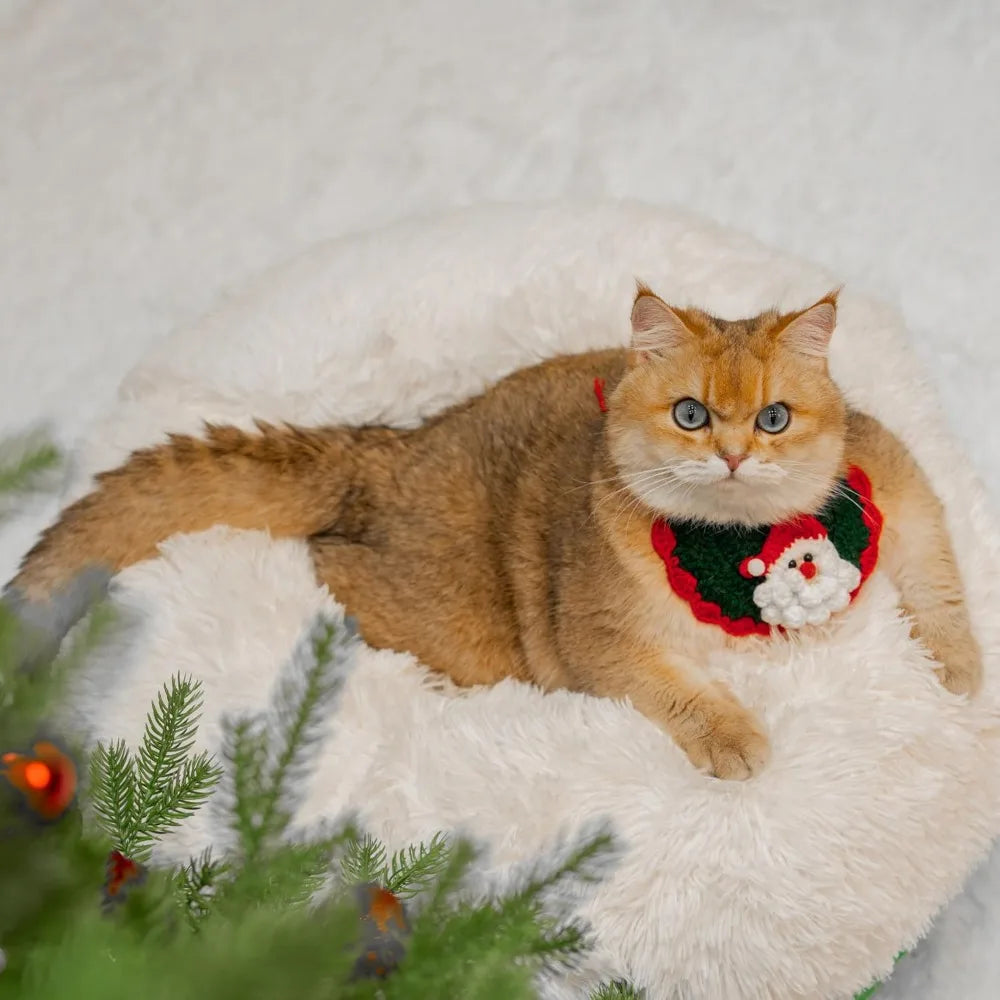 CATTASAURUS Peekaboo Cat Cave for Multiple & Large Cats Up to 30-45 Lbs, Fluffy Cat Beds for Indoor Cats, Scratch Detachable & W