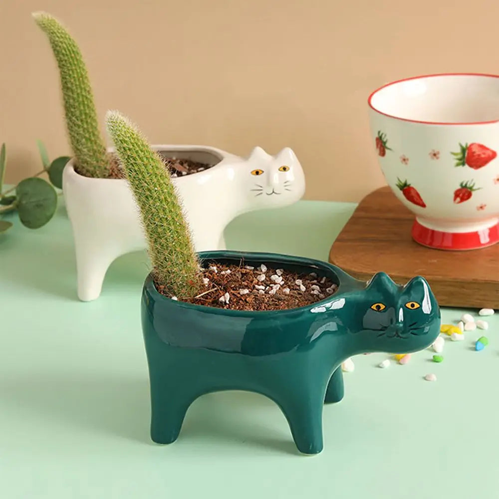 Cute Ceramic Garden Living Room Cactus Plants Balcony Plant Pot Flower Pot Plant Container Tabletop Ornaments