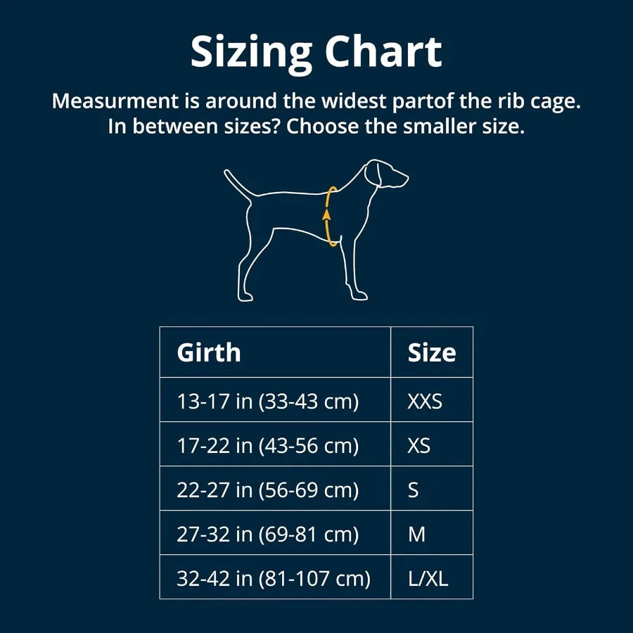 Load Up Dog Car Harness Padded Adjustable Travel Restraint with Universal Seat Belt Attachment and Strength-Rated Metal Hardwar
