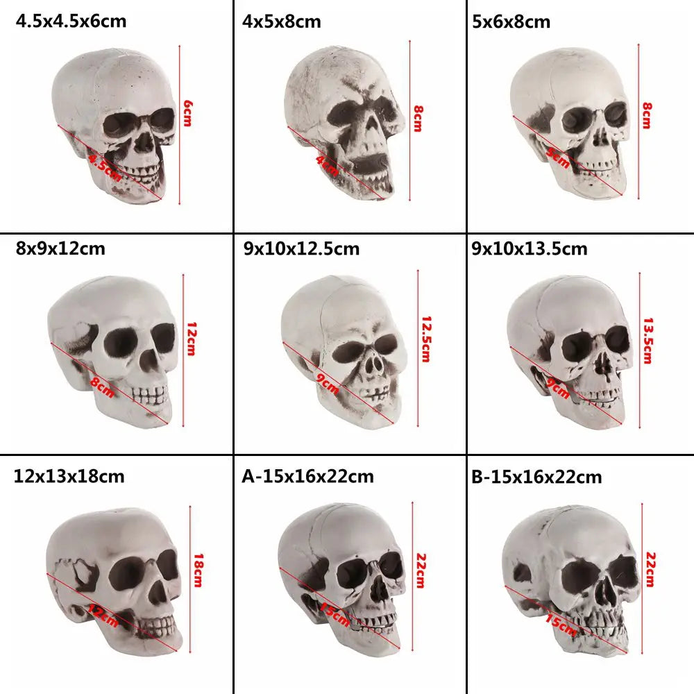 All Size Terrible Human Skeleton Skull Head Halloween Props Skeleton for Bars/Coffee Bars/Haunted Houses/Halloween Party Decor