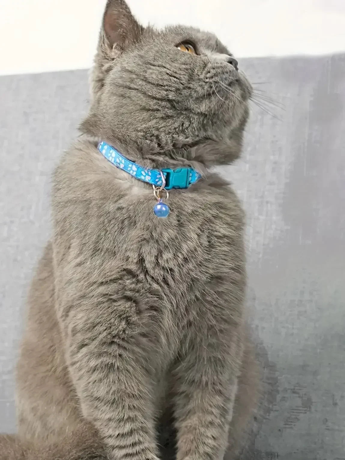Fashion Pet Cats Collar Colorful Pattern Cute Bell Adjustable Collars for Cats Kitten DIY Ring Necklace Pet Accessories