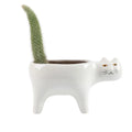 Cute Ceramic Garden Living Room Cactus Plants Balcony Plant Pot Flower Pot Plant Container Tabletop Ornaments
