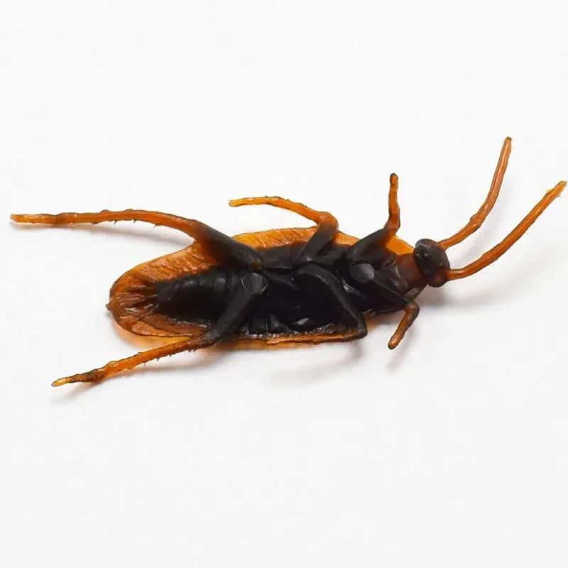 Realistic Cockroach Model Novelty Cockroach Prop Cockroach Toy Pranking Toy April Fools' Day Halloween Party Decorations
